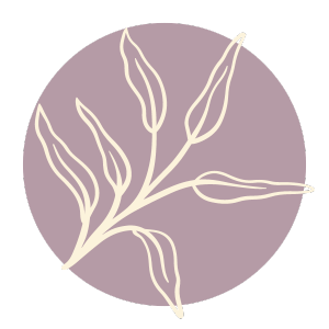 Mental Health Counseling Charlotte NC | Monroe Therapist Mental Health Counseling Charlotte NC | Monroe Therapist